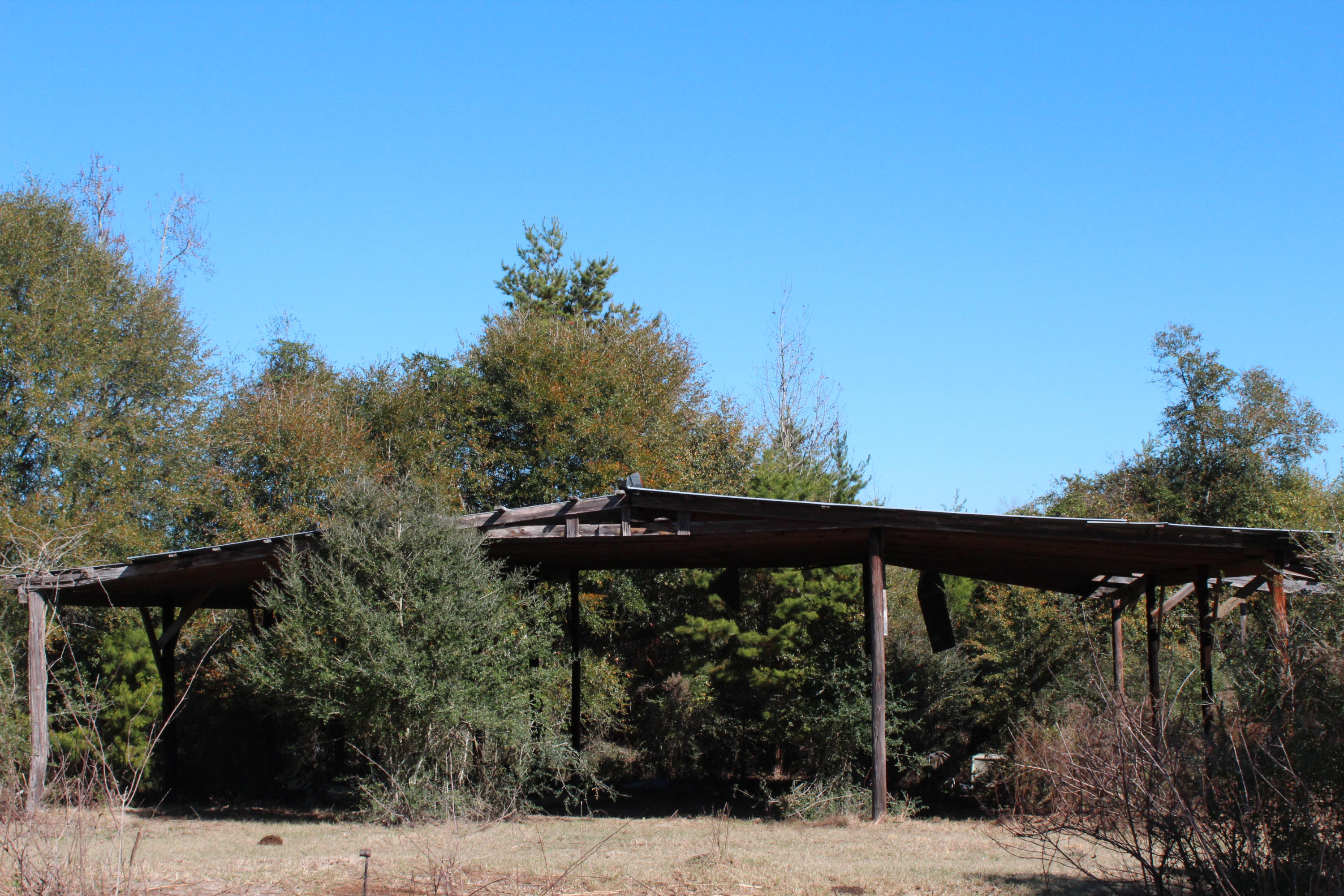 153n Other Al Samson, AL 36477 - Photo 14 of 20 2014-12-07 12