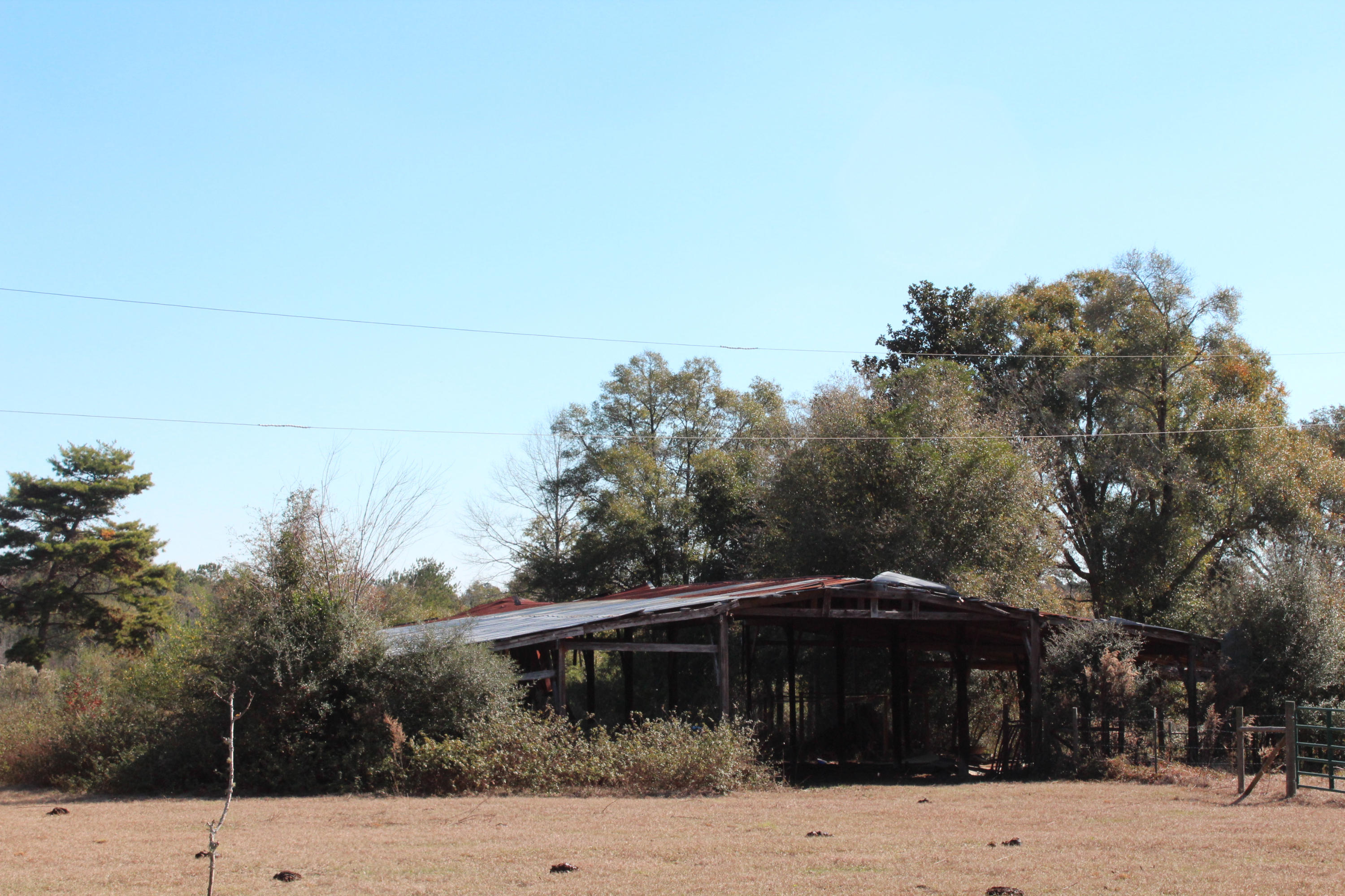 153n Other Al Samson, AL 36477 - Photo 17 of 20 2014-12-07 12