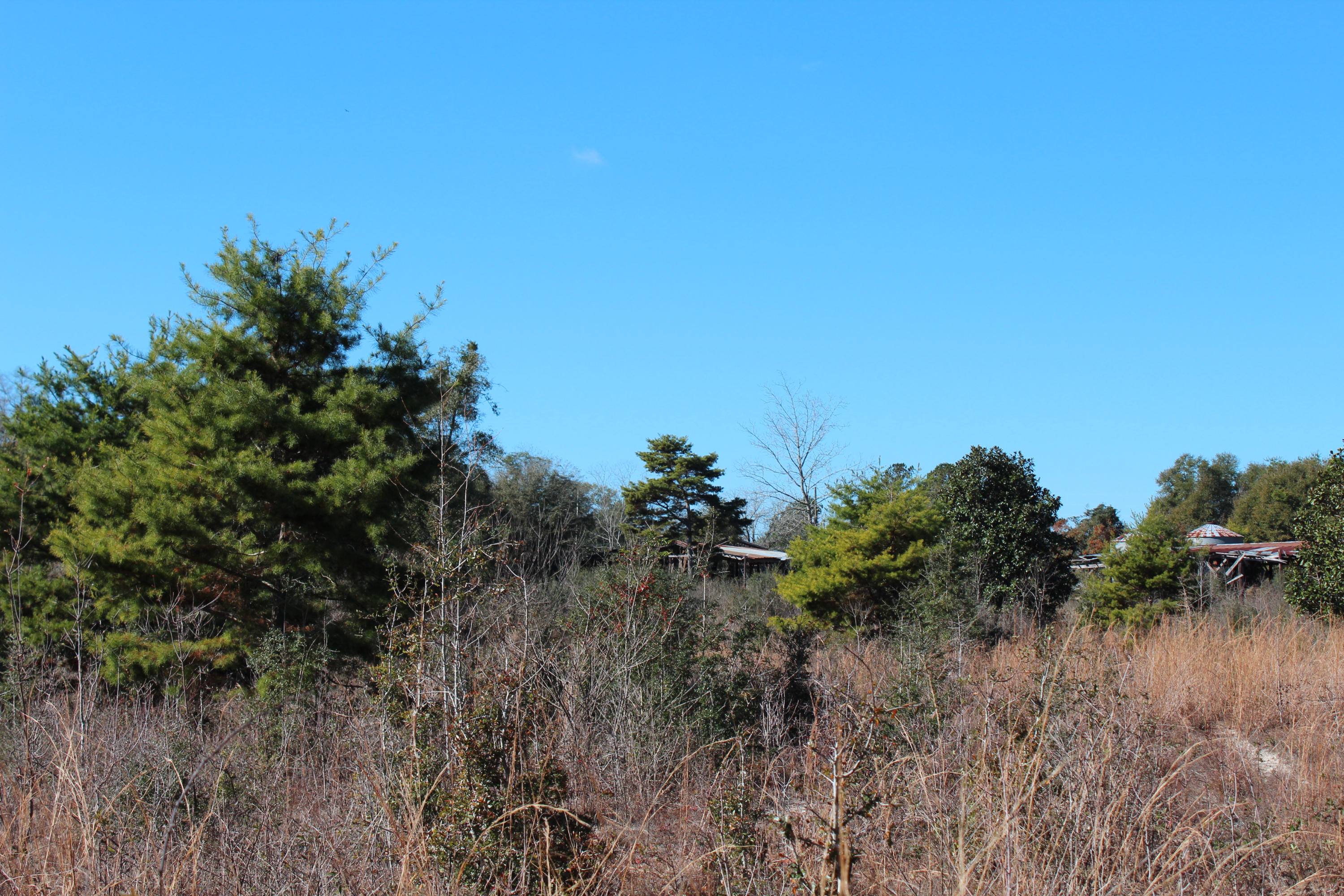 153n Other Al Samson, AL 36477 - Photo 19 of 20 2014-12-07 11