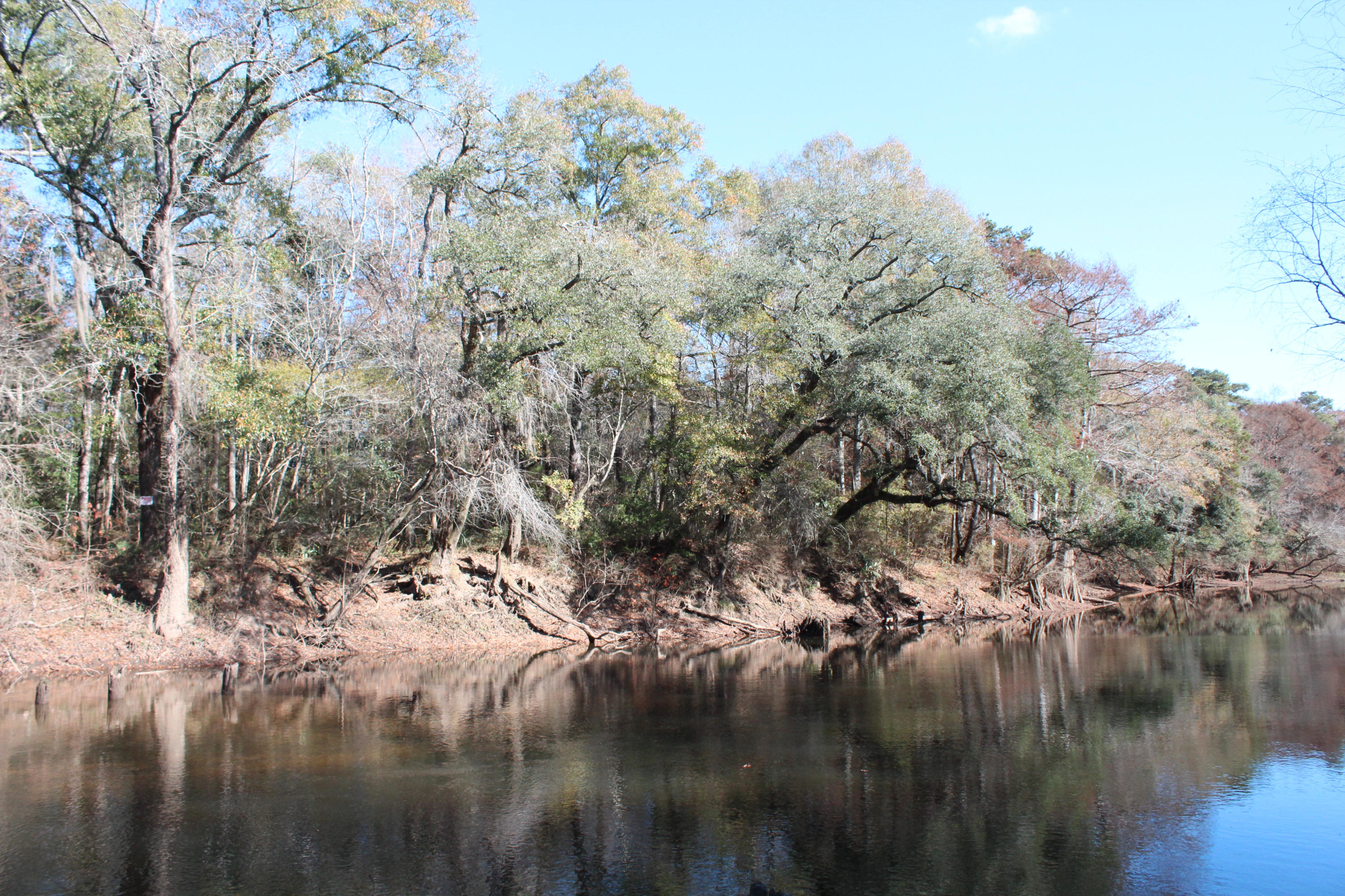 153n Other Al Samson, AL 36477 - Photo 2 of 20 2014-12-07 11