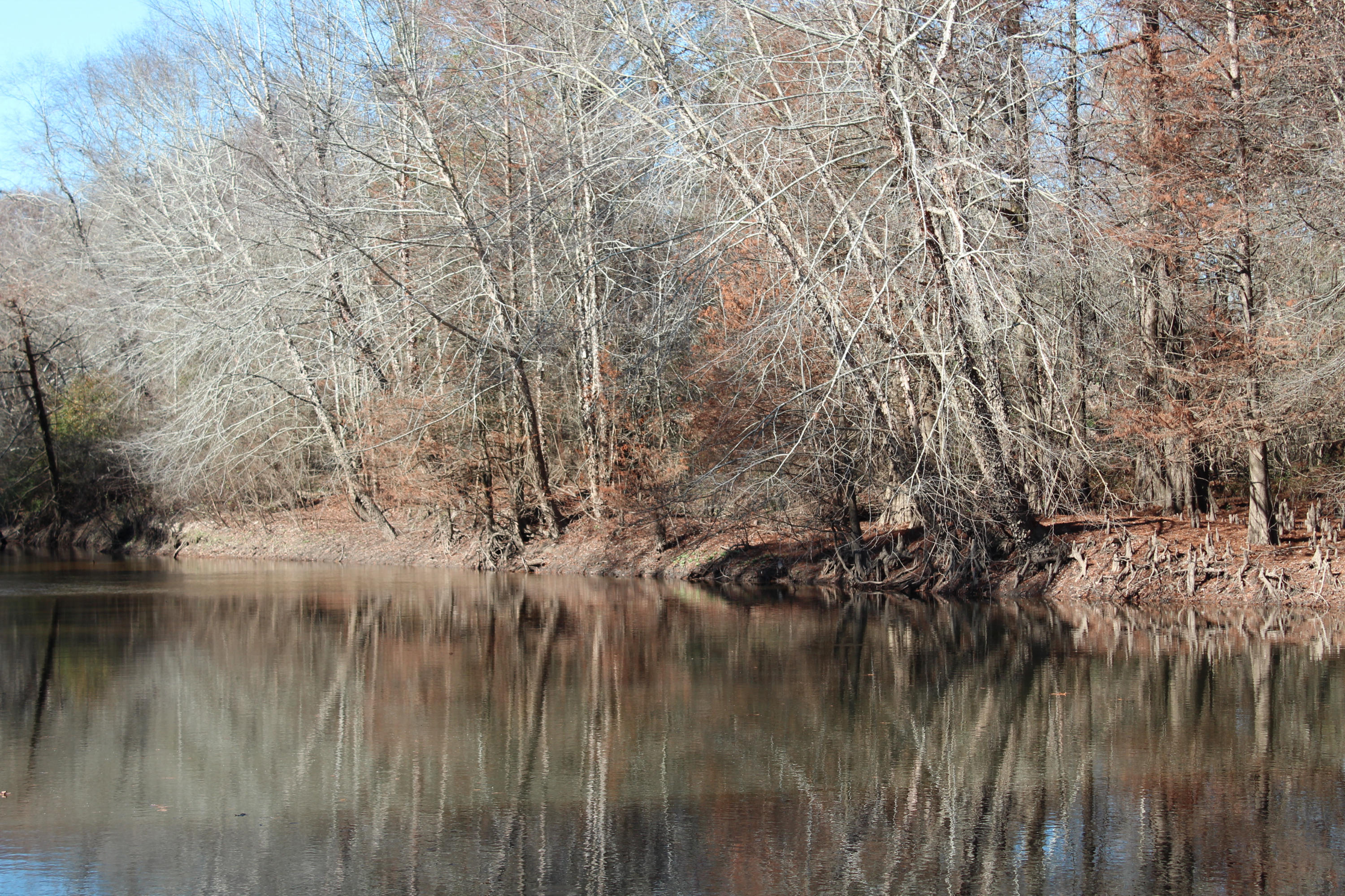 153n Other Al Samson, AL 36477 - Photo 3 of 20 2014-12-07 11