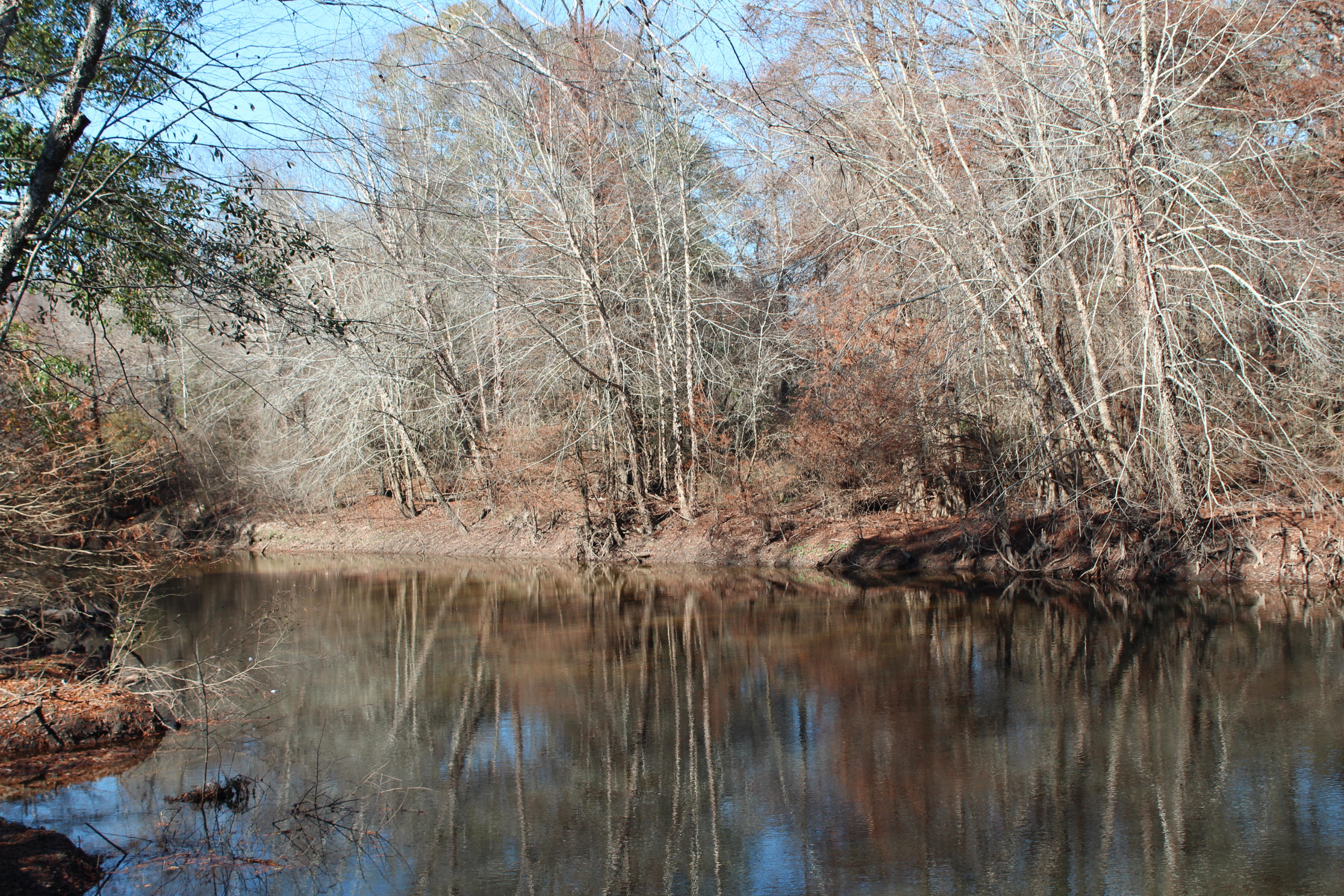 153n Other Al Samson, AL 36477 - Photo 4 of 20 2014-12-07 11