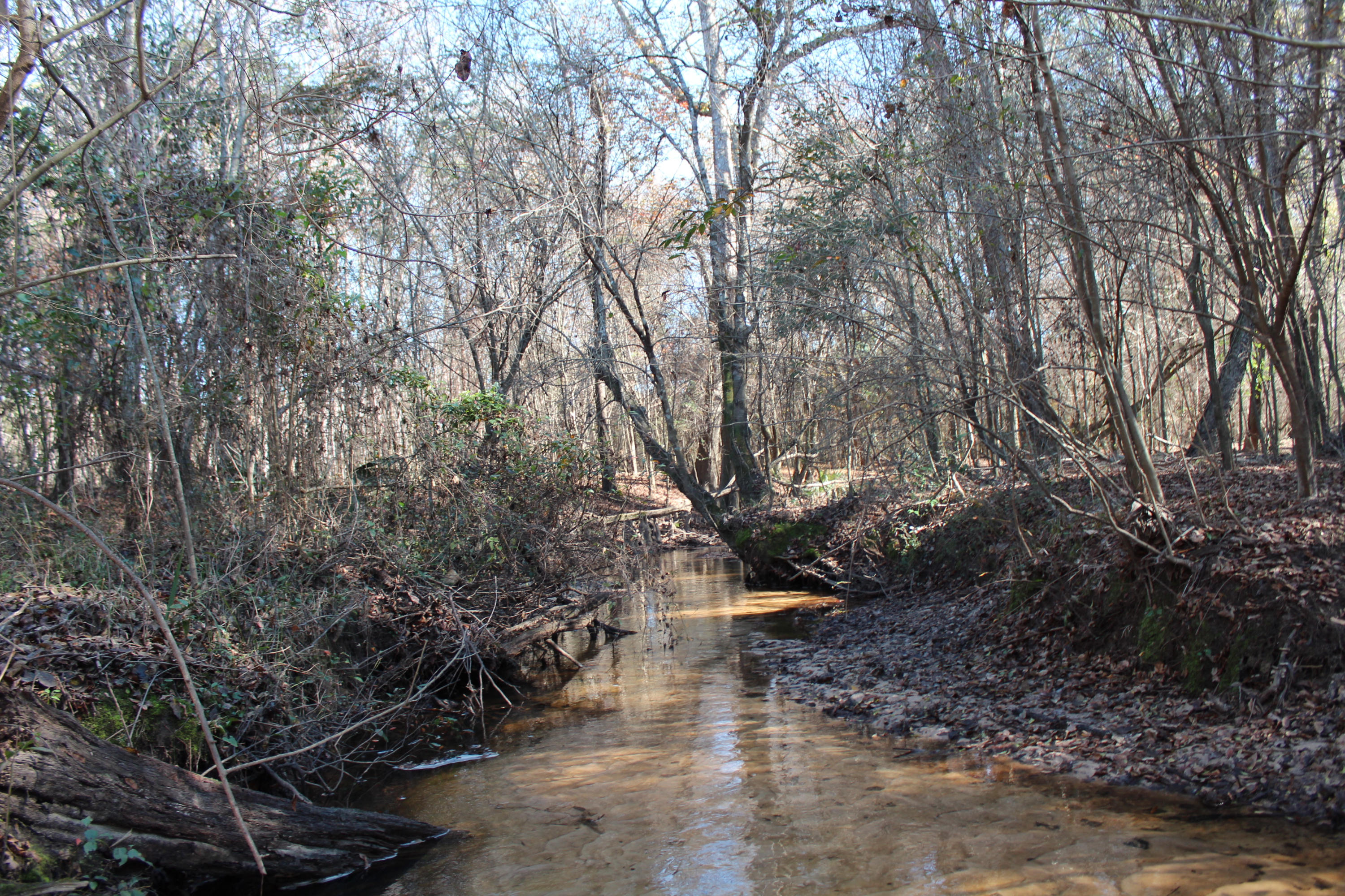 153n Other Al Samson, AL 36477 - Photo 6 of 20 2014-12-07 11