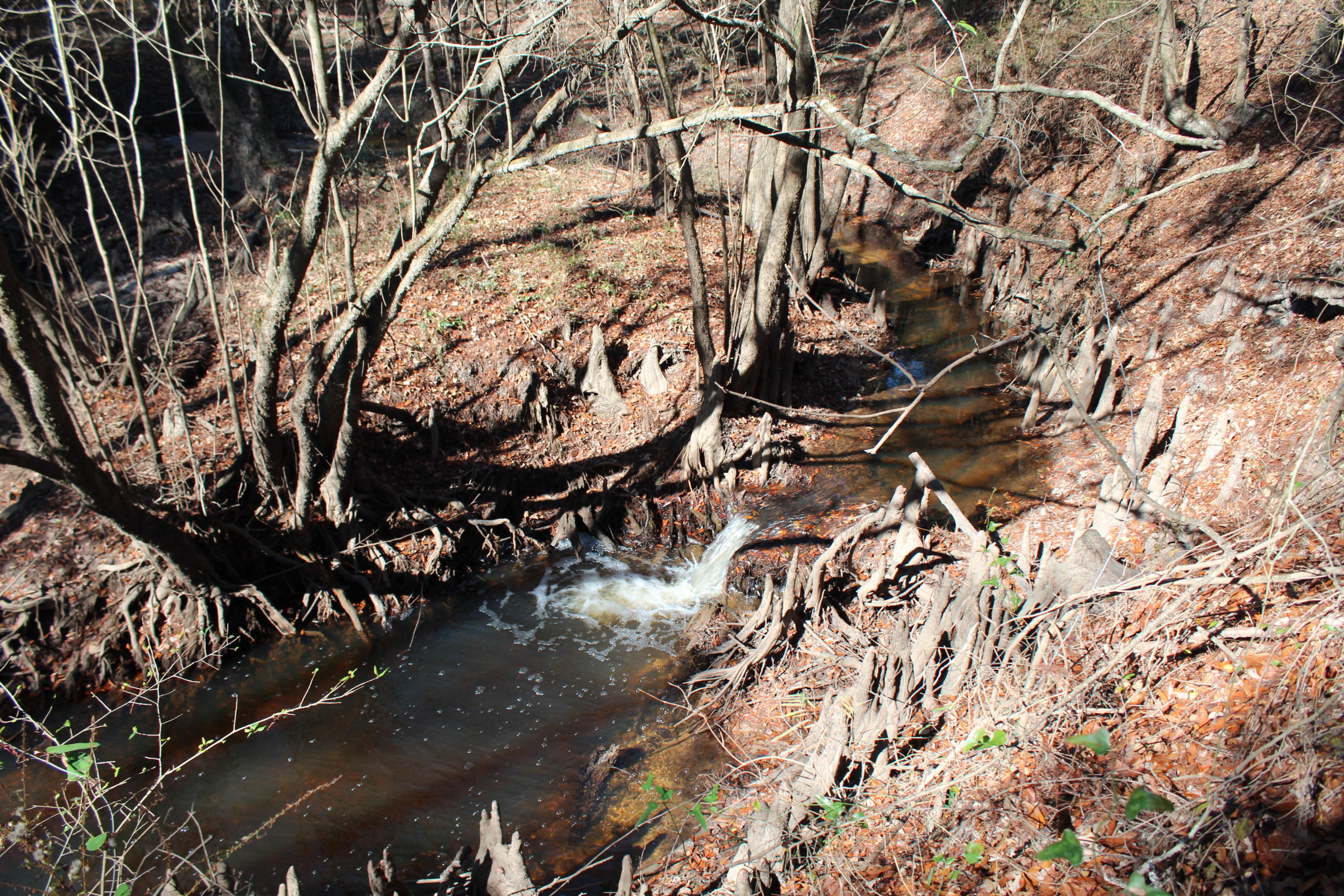 153n Other Al Samson, AL 36477 - Photo 8 of 20 2014-12-07 11