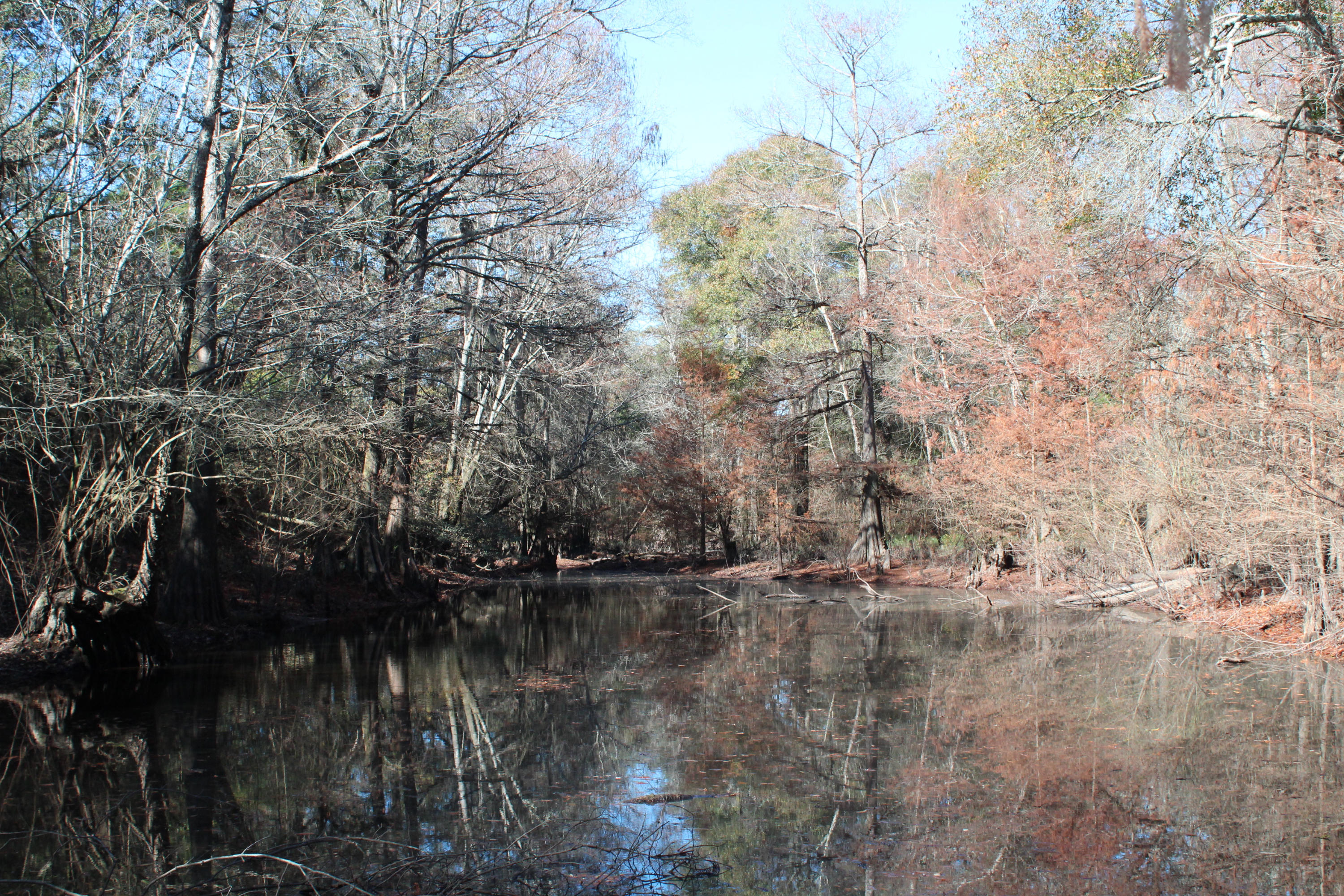 153n Other Al Samson, AL 36477 - Photo 10 of 20 2014-12-07 11