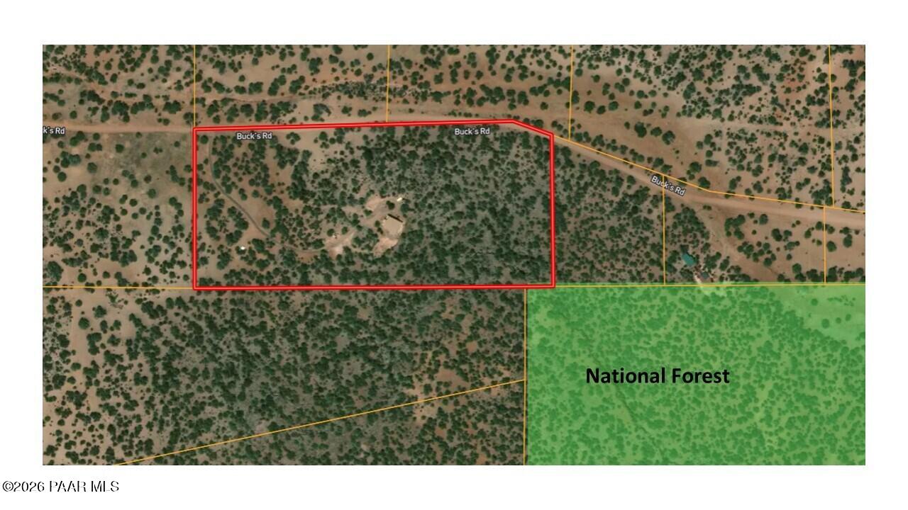 32957 Bucks Road Seligman, AZ 86337 - Photo 40 of 40 Lindsay - Natl Forest