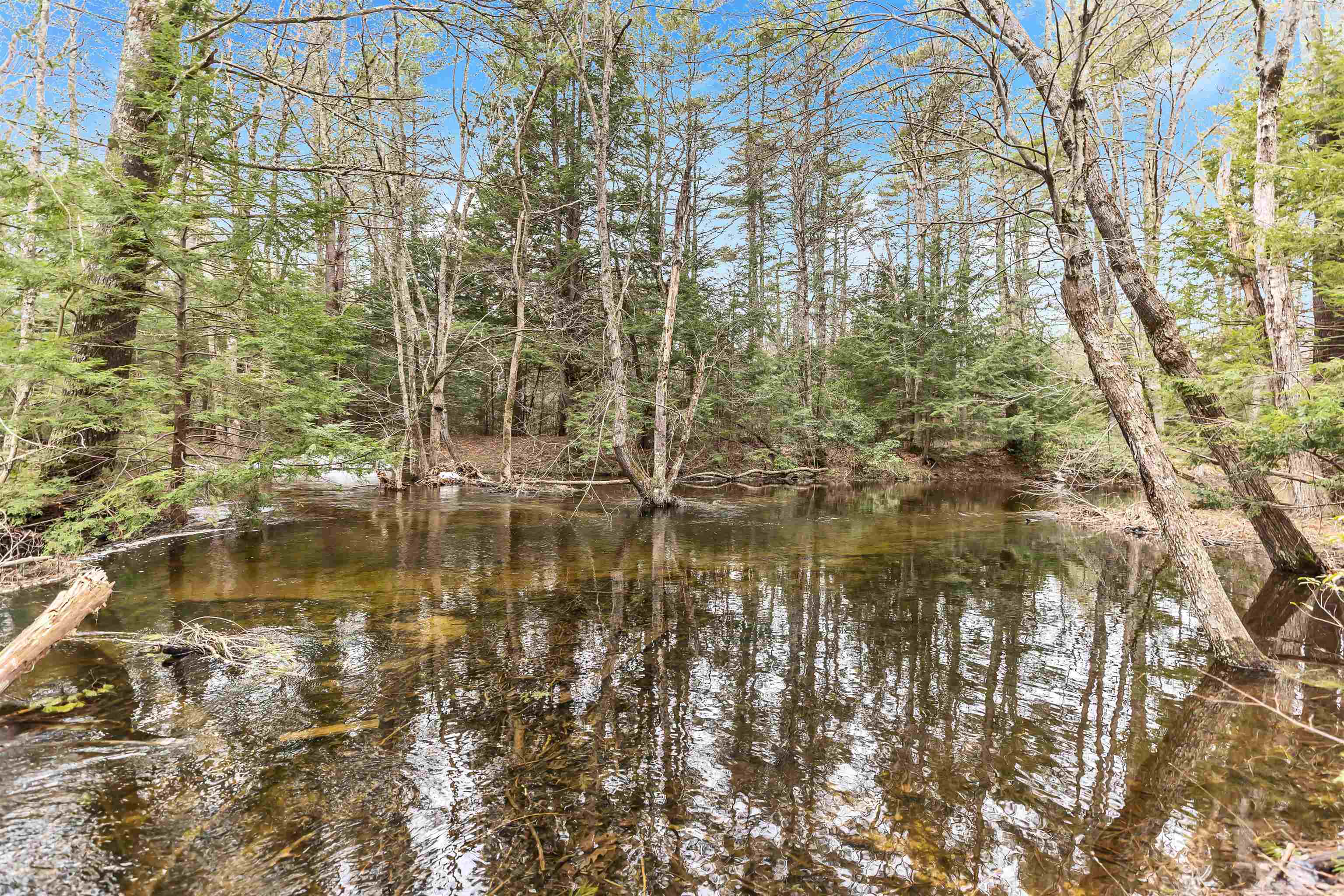 5 South Spaulding Brook Road Brookline, NH 03033 - Photo 34 of 34 Gallery Image 34