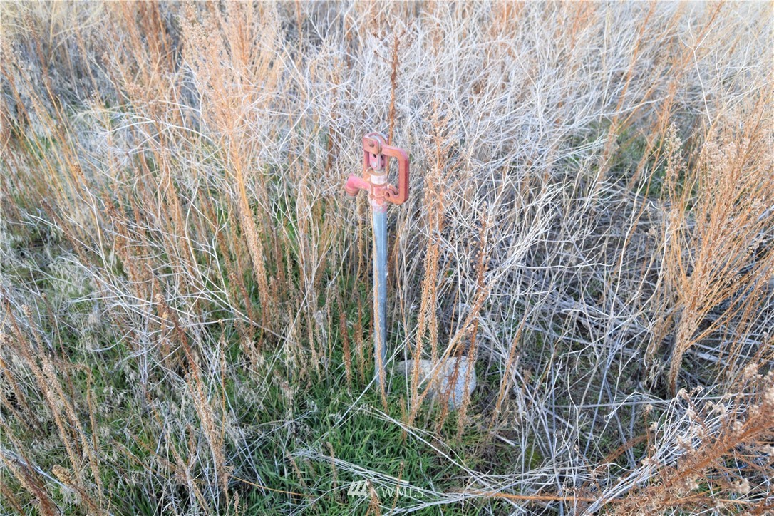 3-tbd Grey Goose Road Omak, WA 98841 - Photo 3 of 10