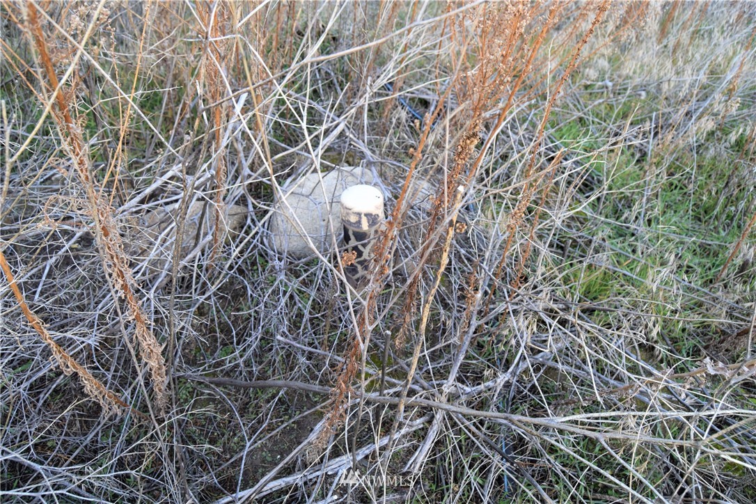 3-tbd Grey Goose Road Omak, WA 98841 - Photo 4 of 10
