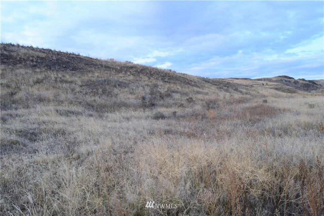 3-tbd Grey Goose Road Omak, WA 98841 - Photo 5 of 10
