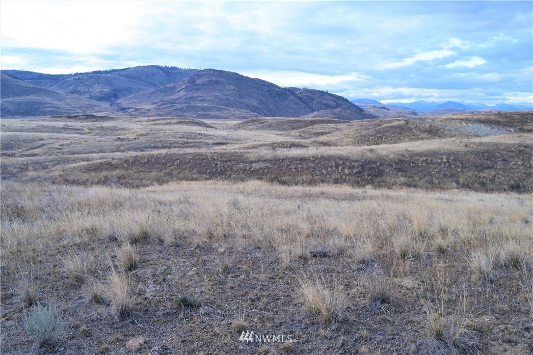 3-tbd Grey Goose Road Omak, WA 98841 - Photo 8 of 10
