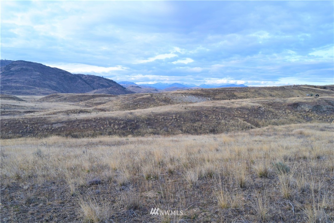 3-tbd Grey Goose Road Omak, WA 98841 - Photo 9 of 10