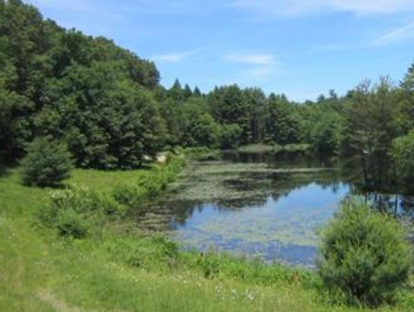 123 Silver Hill Road Concord, MA 01742 - Photo 20 of 21 Gallery Image 20