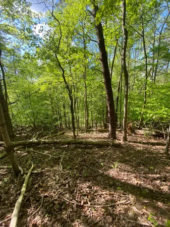 $70,000 | 0 Misty Mountain Road, Lynch Station, VA 24571