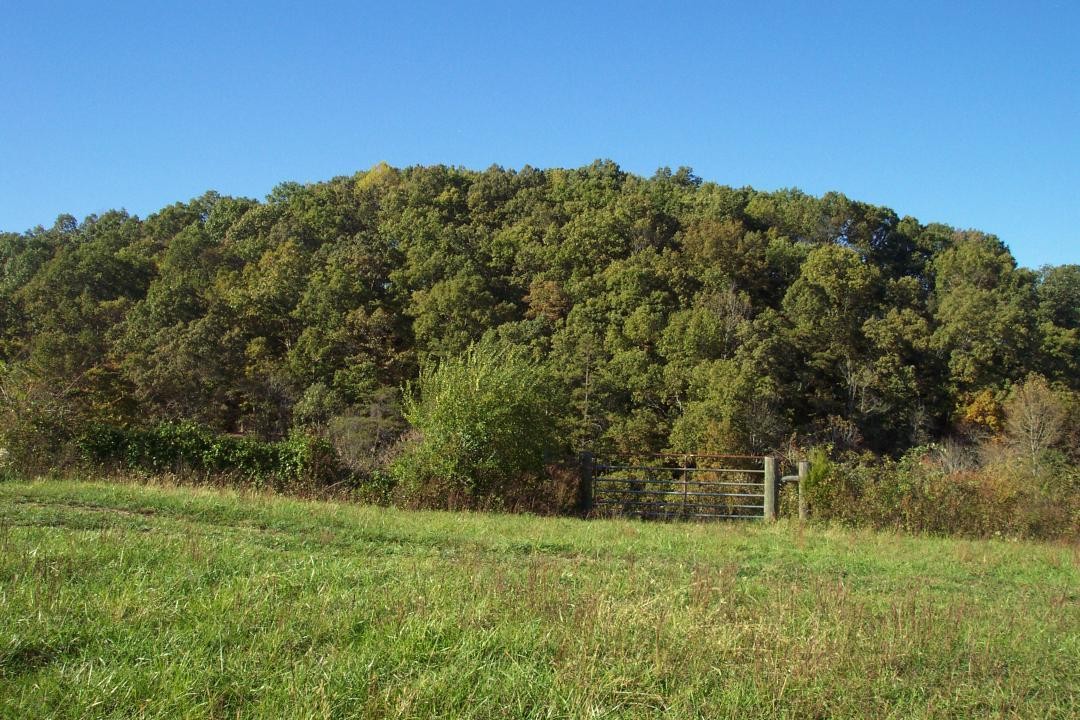 0 Cox Road Maynardville, TN 37807 - Photo 6 of 7 Gallery Image 6