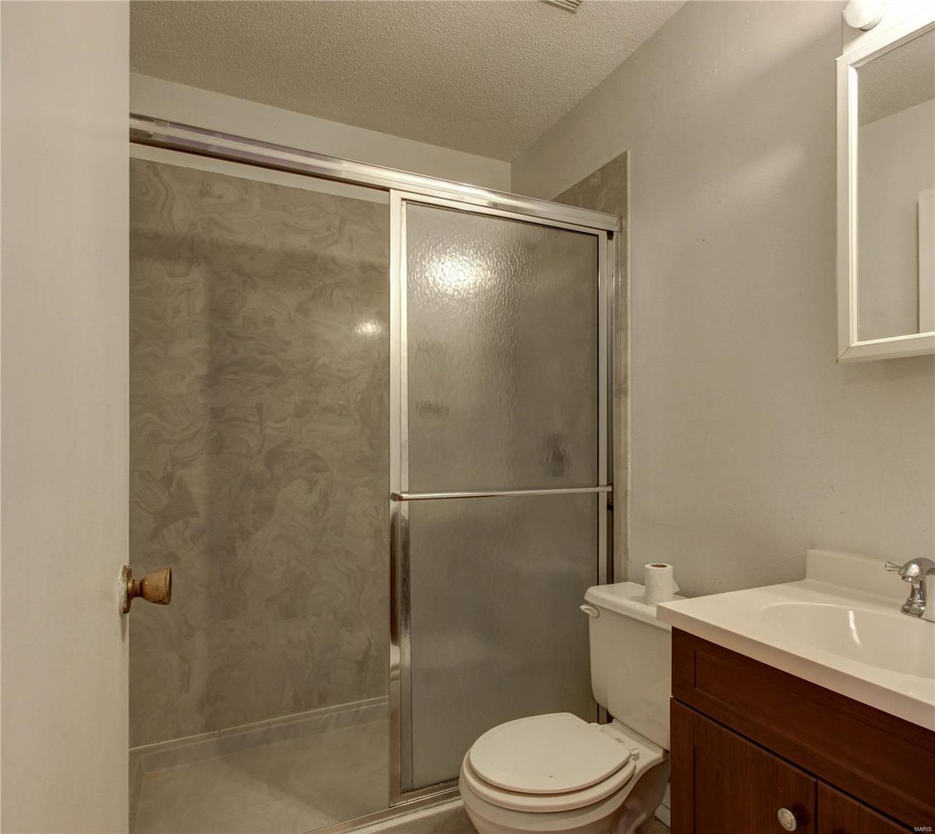 254 Braeshire Drive Ballwin, MO 63021 - Photo 24 of 36 Gallery Image 24