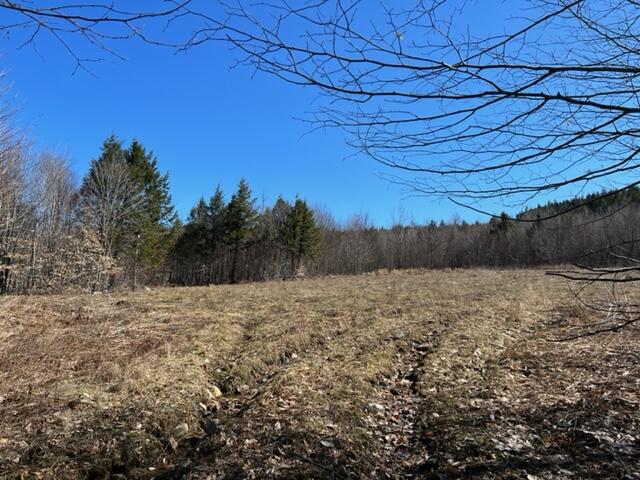 Tbd Tbd Trinity Farm Road New Portland, ME 04961 - Photo 45 of 51 IMG_4730