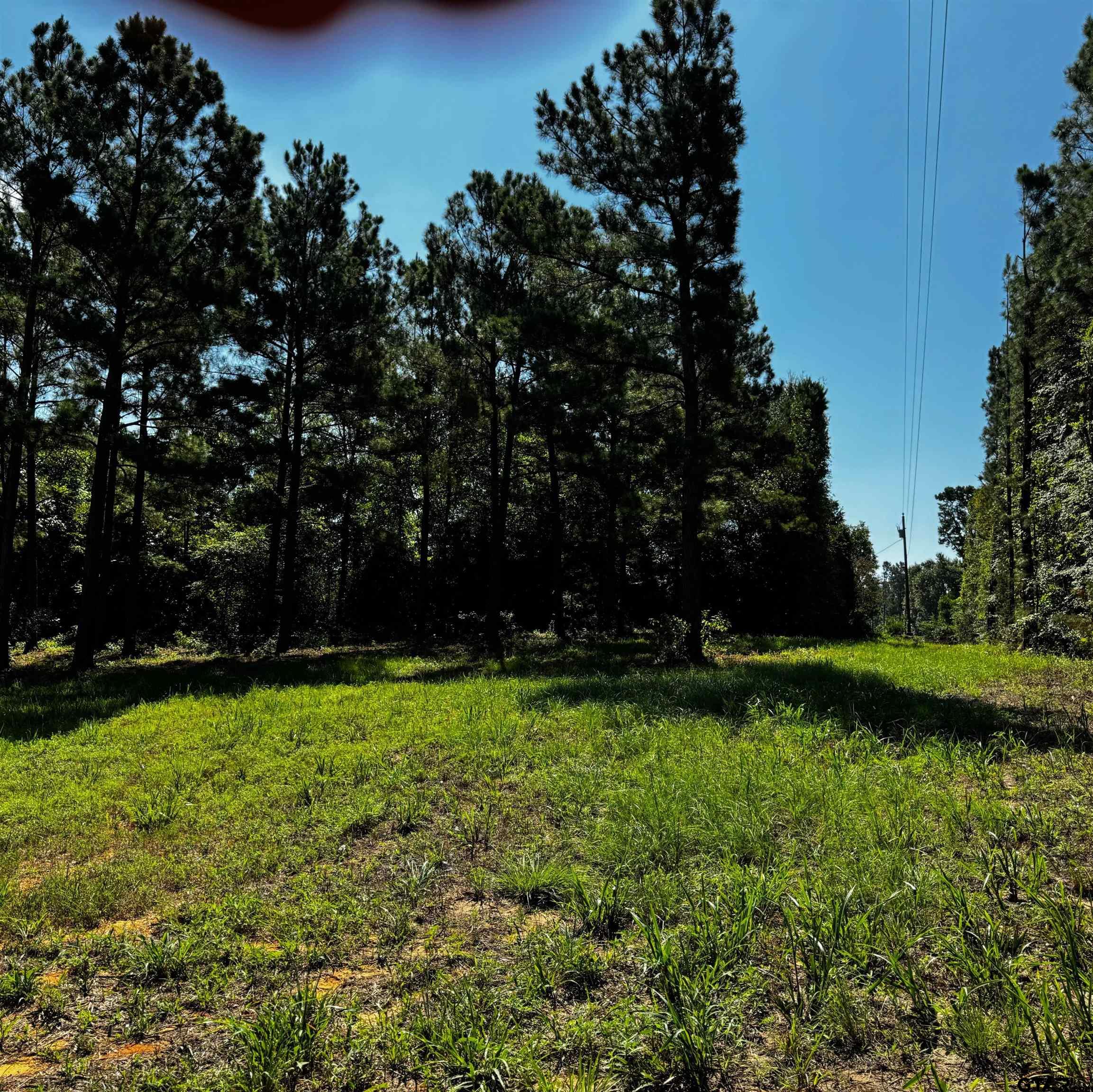1365 Cr 2112 Rusk Tx 75785 Rusk, TX 75785 - Photo 3 of 13
