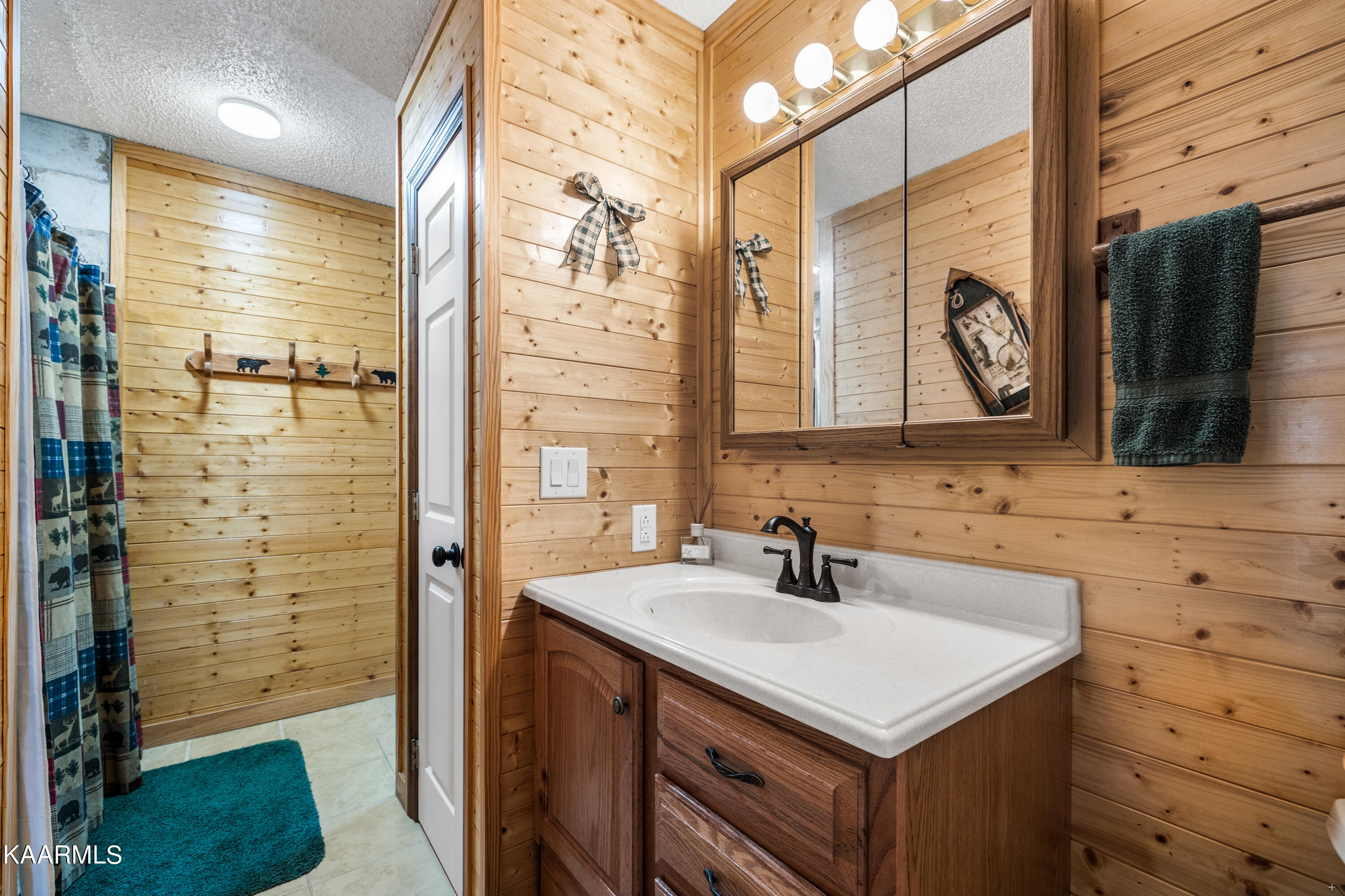 159 Black Fox Harbor Road Washburn, TN 37888 - Photo 28 of 39 Second bath