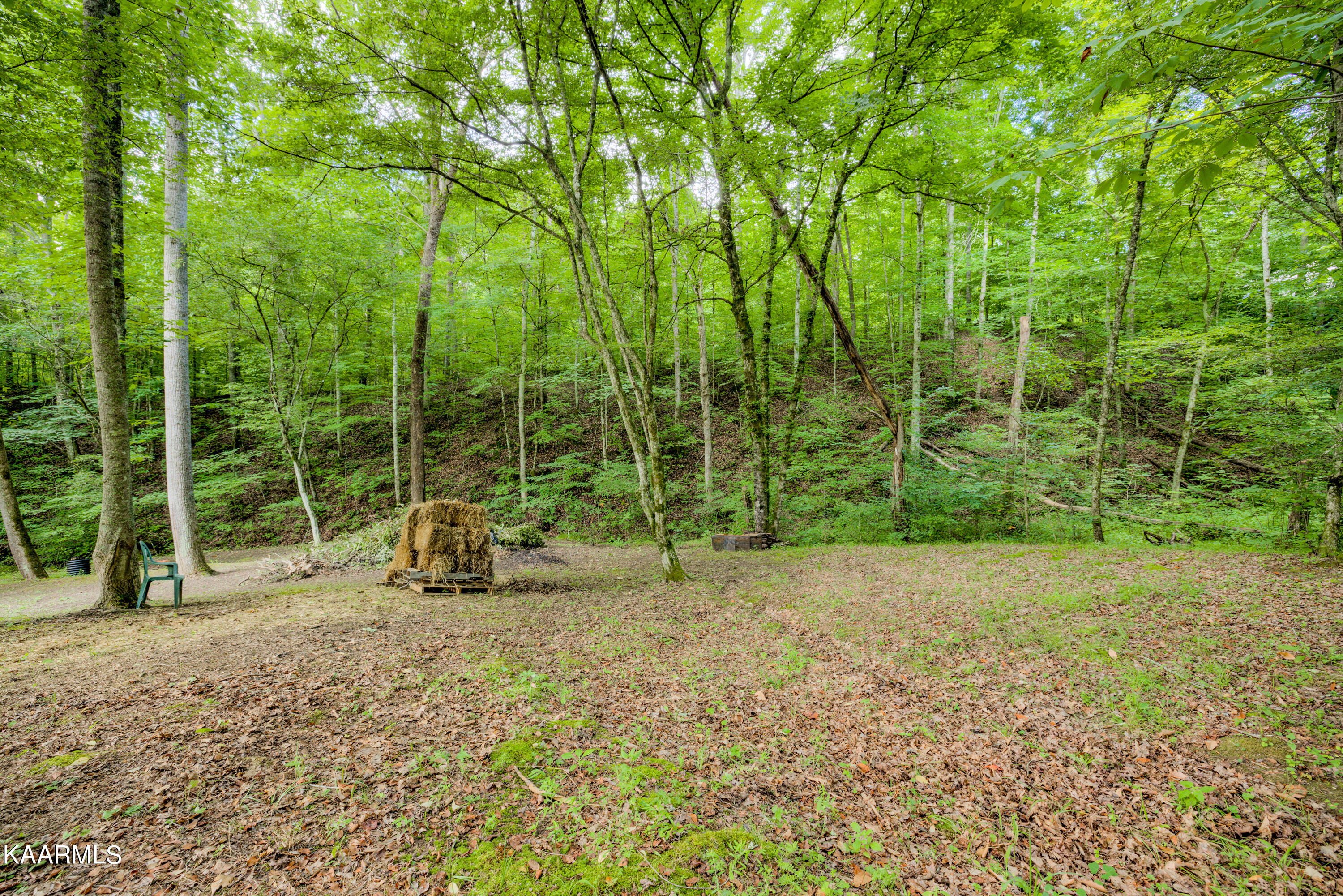 159 Black Fox Harbor Road Washburn, TN 37888 - Photo 35 of 39 Great open spaces