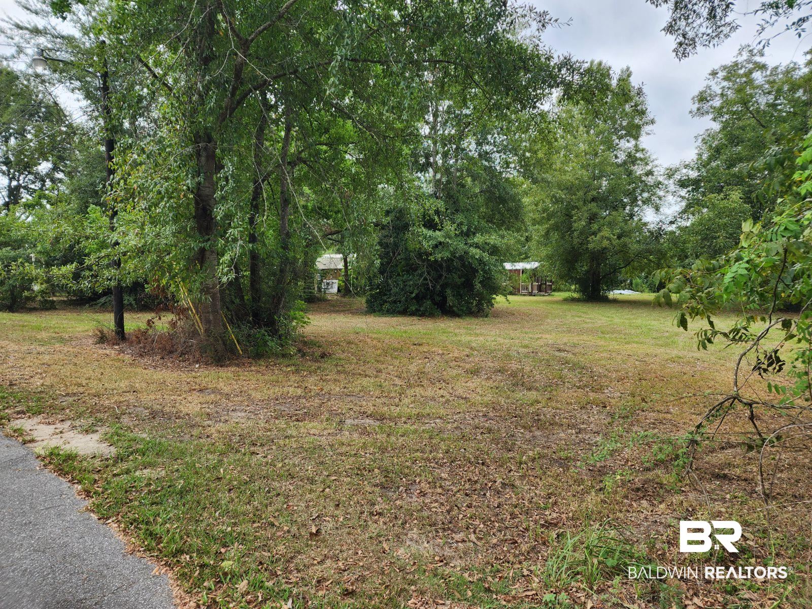 307 Scott Street Brewton, AL 36426 - Photo 15 of 19 View of yard