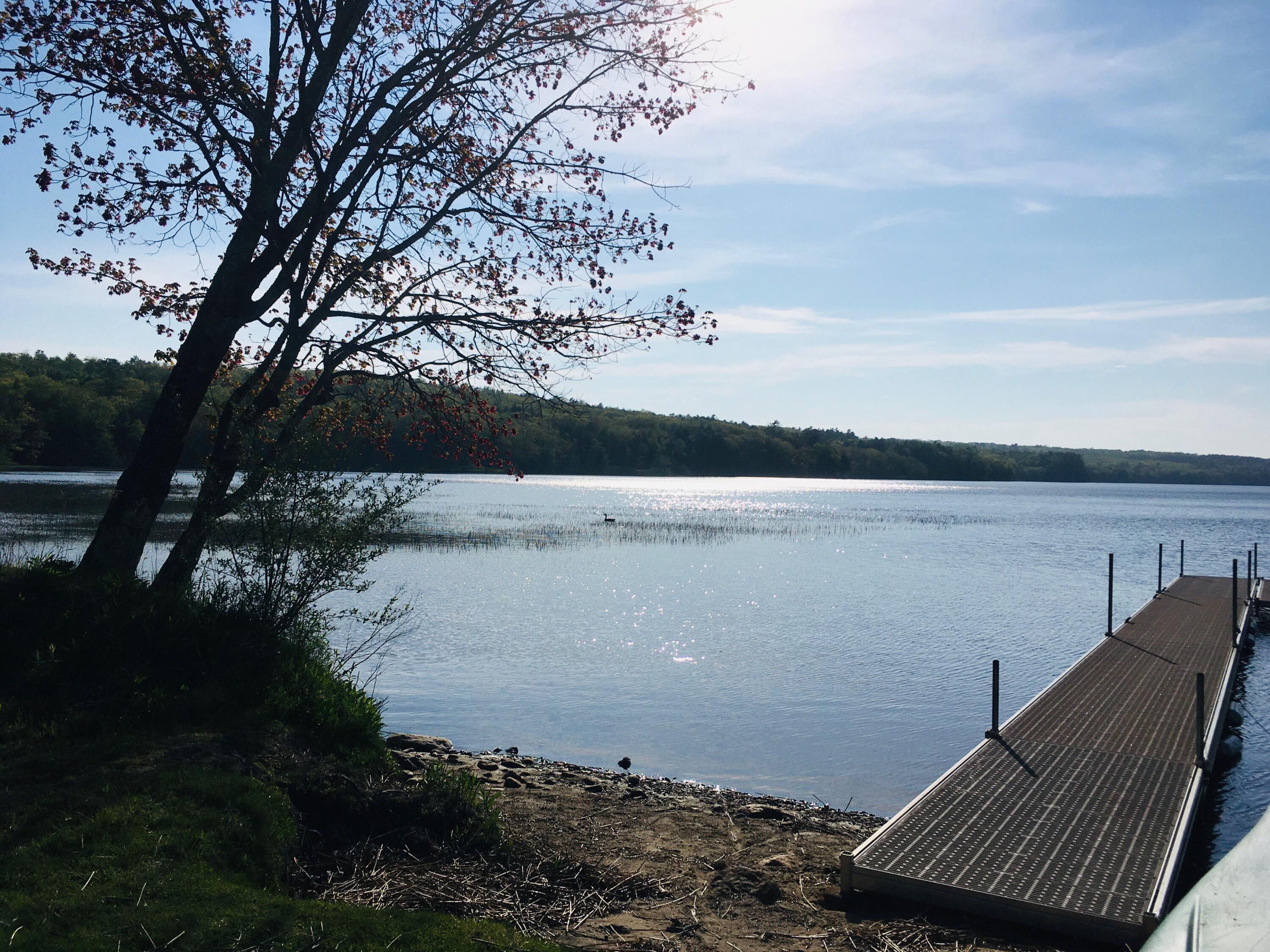 459 Sandy Shores Road Warren, ME 04864 - Photo 15 of 17 EDC3393E-E5D6-4798-BAAB-2EAFBD7D2082