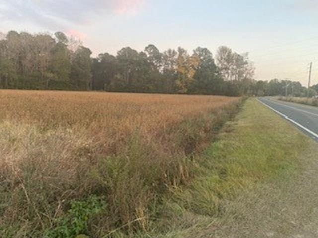 Spring Branch Road Tar Heel, NC 28392 - Photo 5 of 6 Photo 5