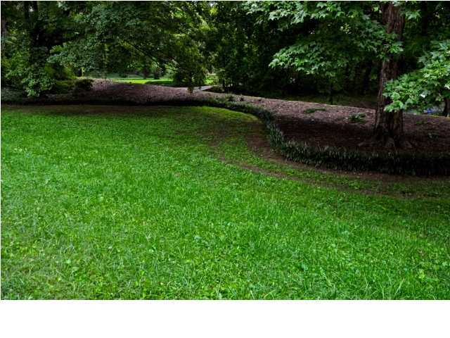 3729 Queens Road Chattanooga, TN 37416 - Photo 10 of 36 Additional Photo