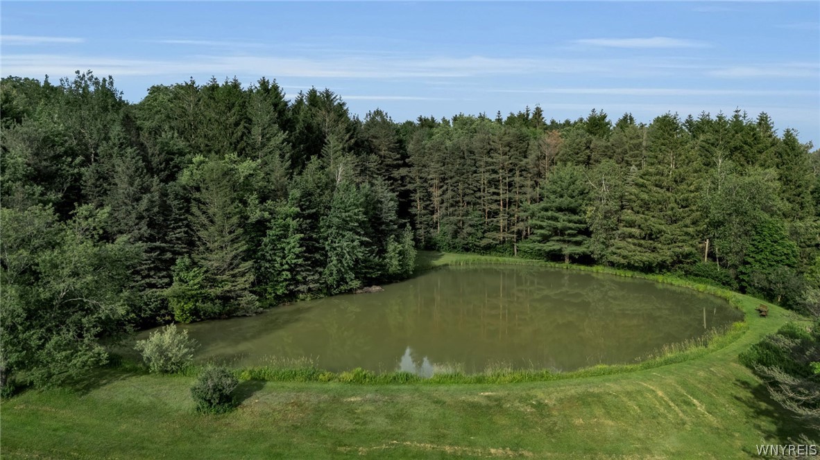 1510 Lyndon Center Road Lyndon, NY 14737 - Photo 16 of 50