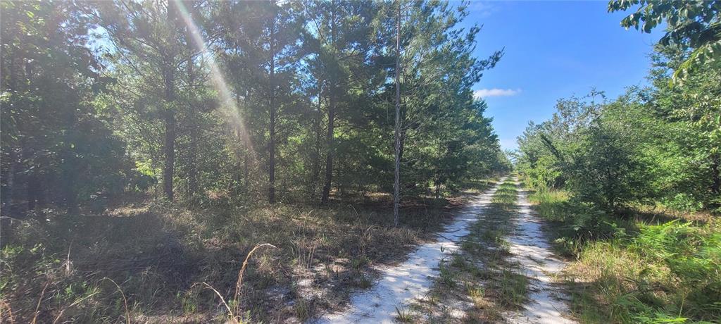 Union Way Lee, FL 32059 - Photo 8 of 15