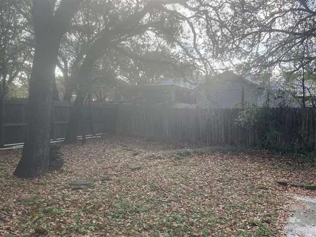 a view of a yard with plants and large trees