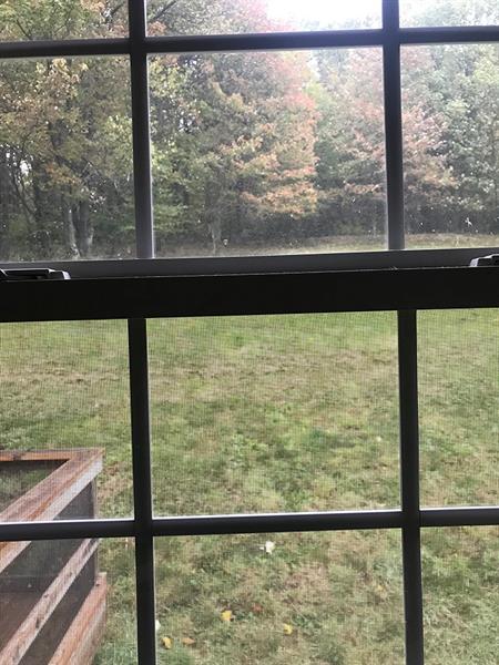 184 Riddle Road Marion Center, PA 15759 - Photo 12 of 19 View from Window