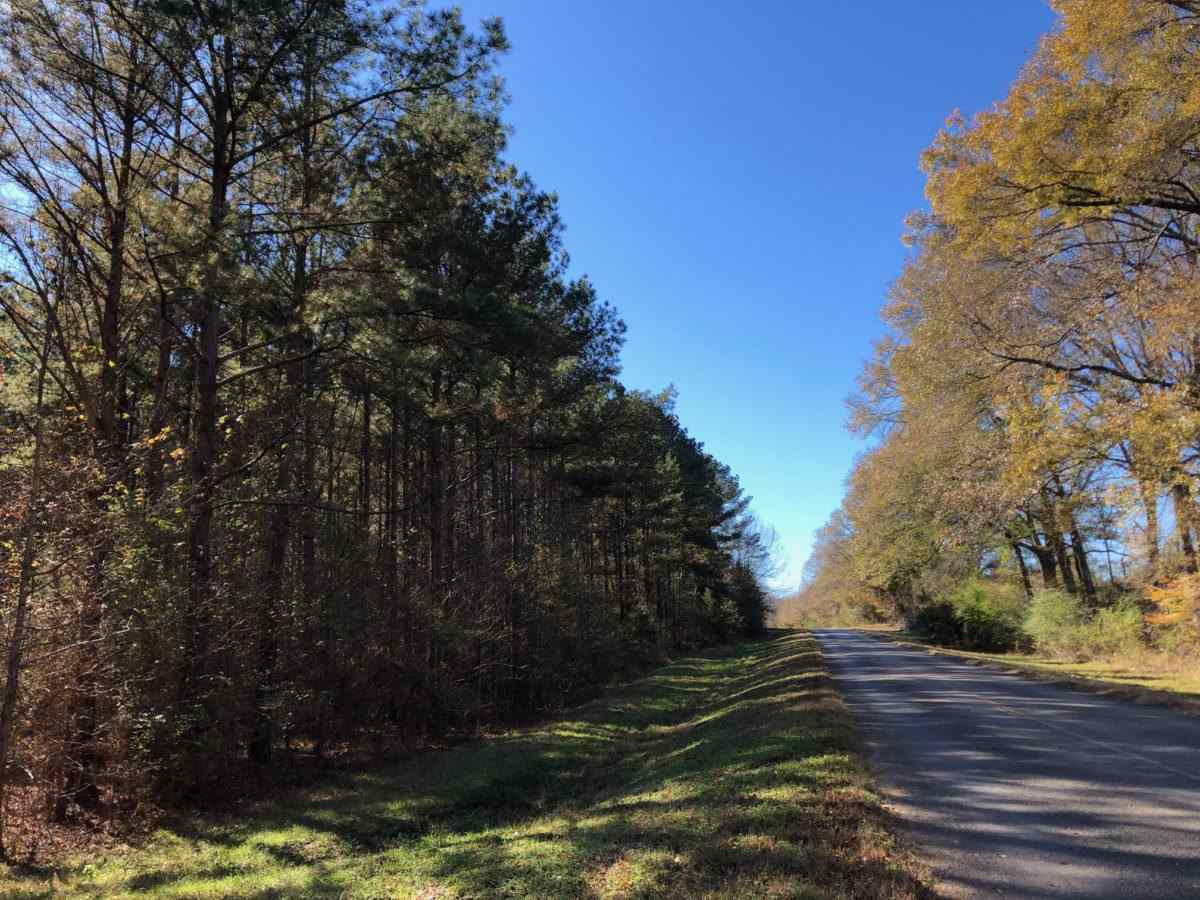 0 Bowling Green Road Lexington, MS 39095 - Photo 4 of 5 Photo 4