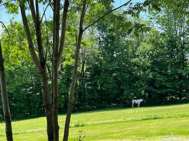 1179 South Hill Road Ludlow, VT 05149 - Photo 15 of 40