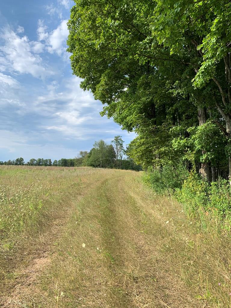 Tbd Lost Lake Road Egg Harbor, WI 54209 - Photo 4 of 29