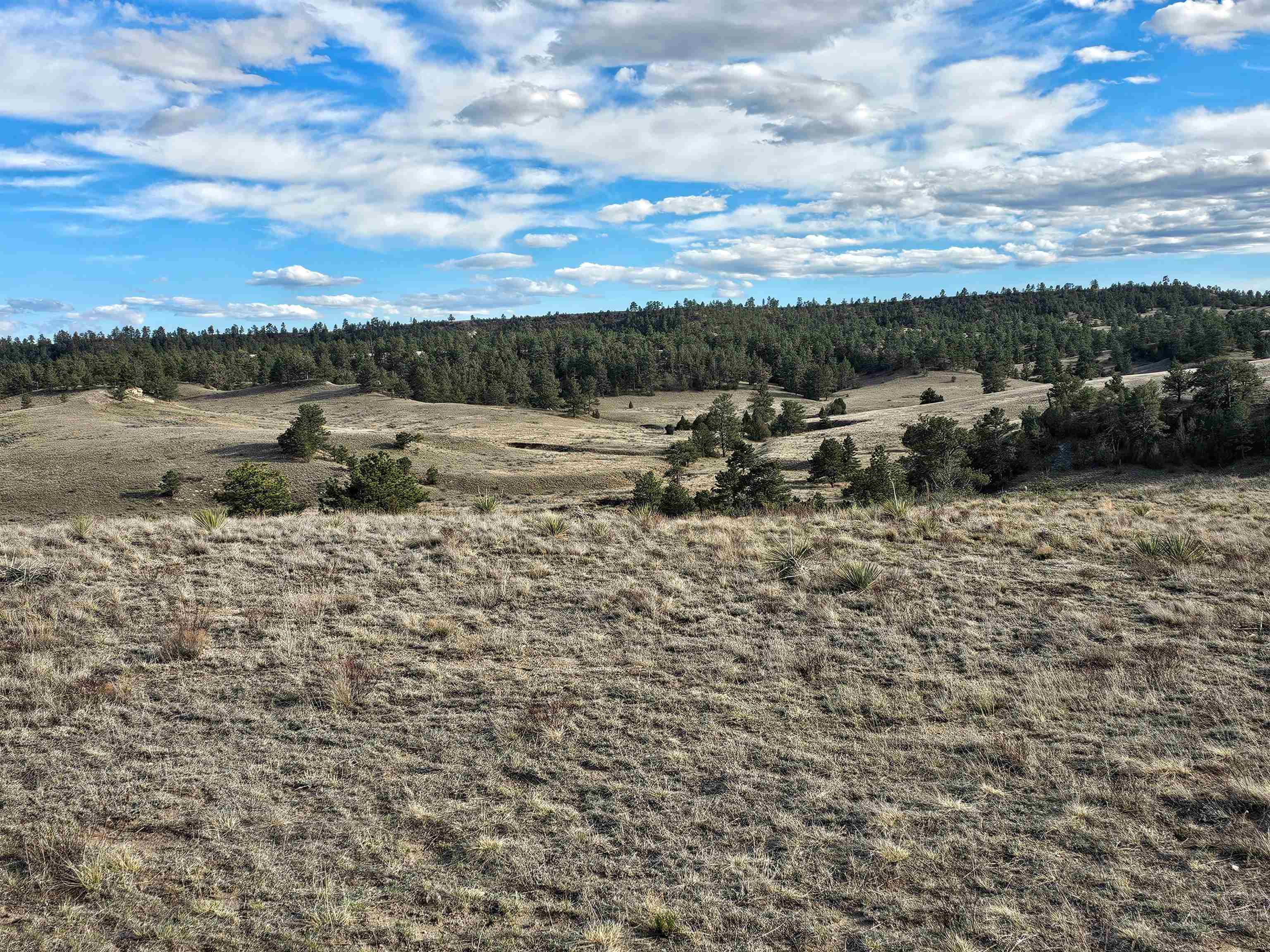 52 Wendover Road Guernsey, WY 82214 - Photo 28 of 42