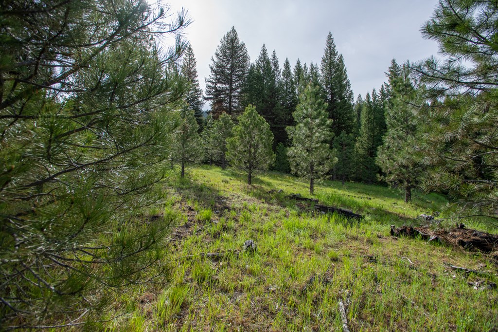 42 Clear Creek Road Cascade, ID 83611 - Photo 5 of 8