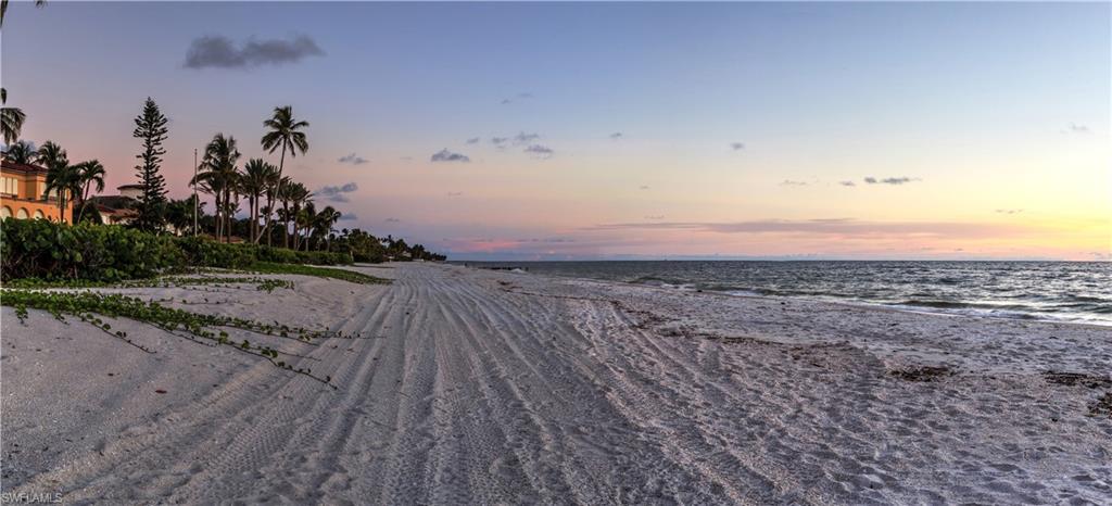 239 Torrey Pines Point Naples, FL 34113 - Photo 46 of 46 a view of a dry yard