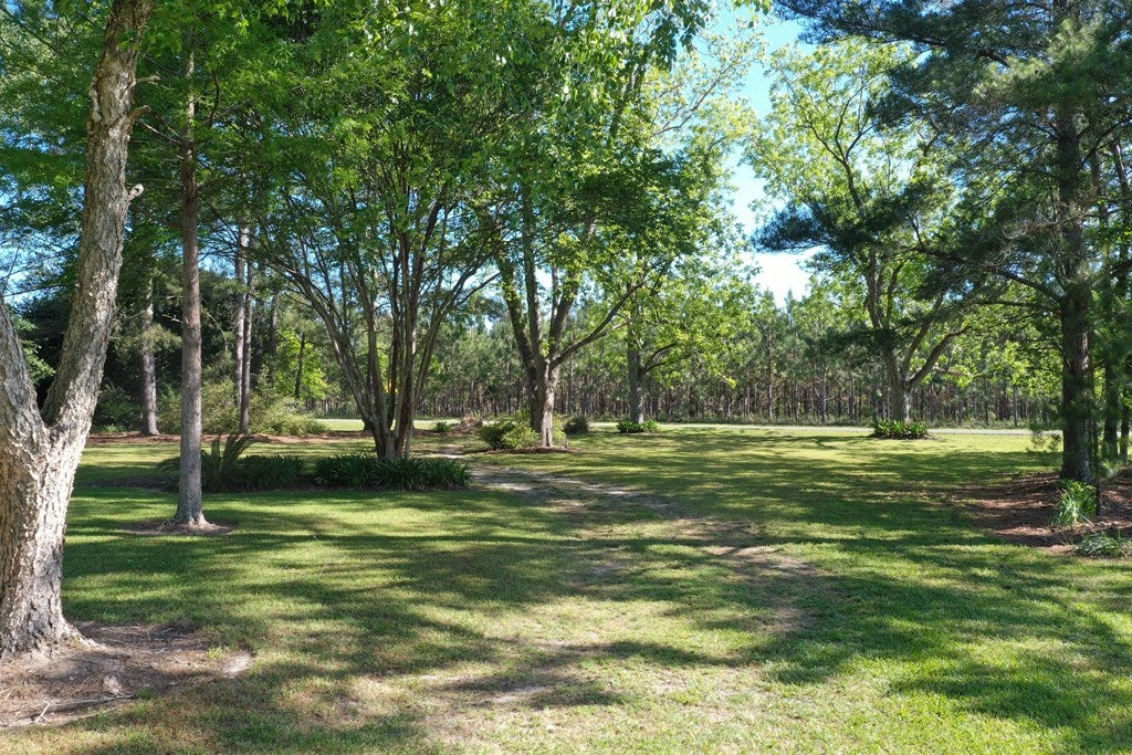 17862 State Rte 188 Coolidge, GA 31738 - Photo 10 of 72 Gallery Image 10
