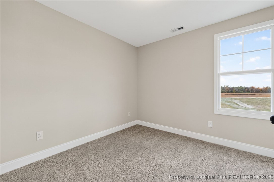 4238 Darroch Road Lillington, NC 27546 - Photo 23 of 35 Gallery Image 23