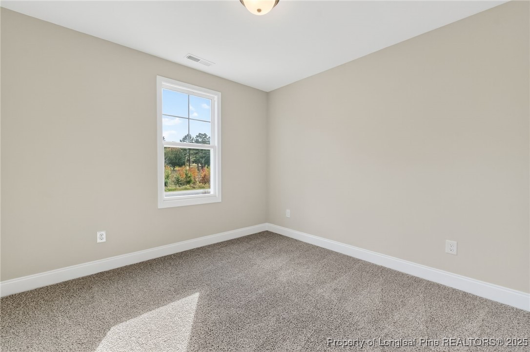 4238 Darroch Road Lillington, NC 27546 - Photo 29 of 35 Gallery Image 29