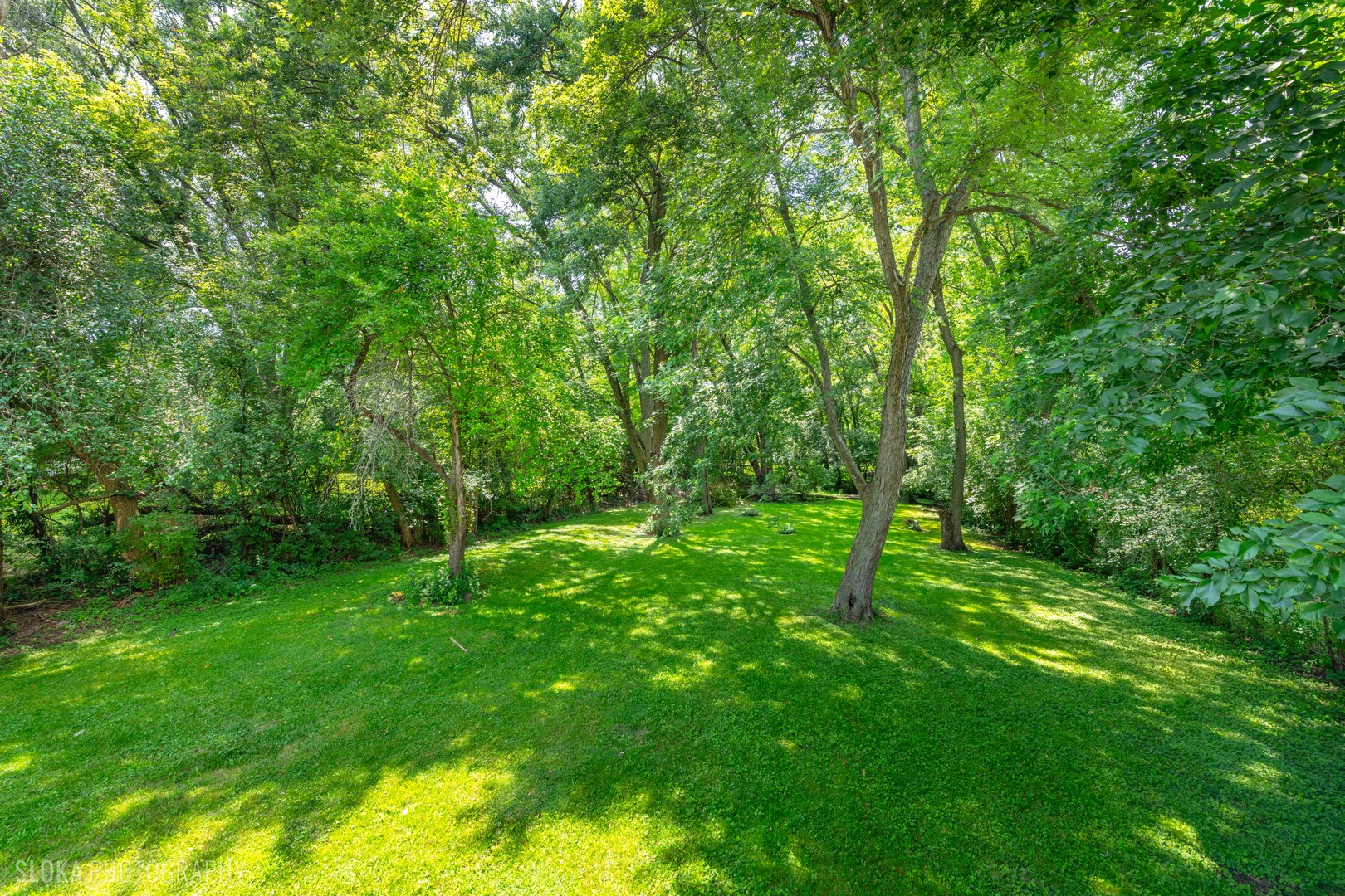 8421 Hickory Nut Grove Road Cary, IL 60013 - Photo 26 of 29 Gallery Image 26