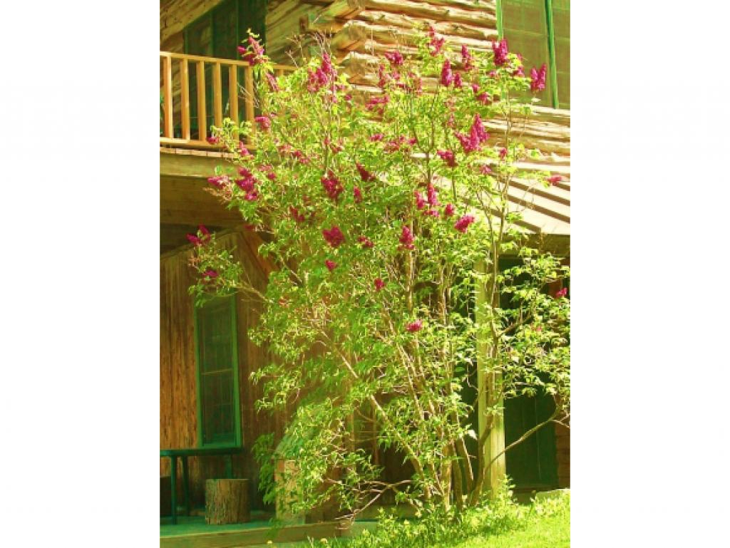 2153 Beach Hill Road Glover, VT 05875 - Photo 8 of 30