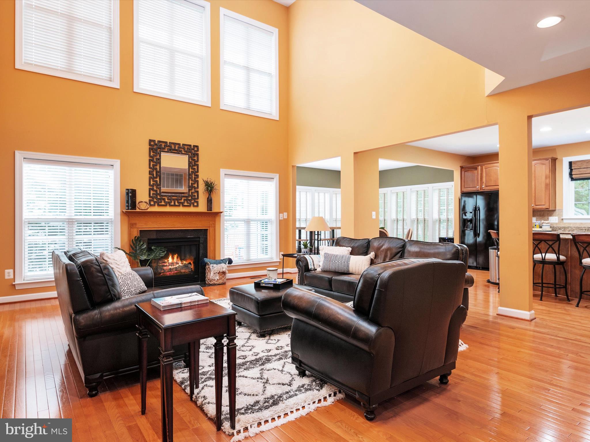 1914 Eamons Way Annapolis, MD 21401 - Photo 7 of 58 Grand and gorgeous living area