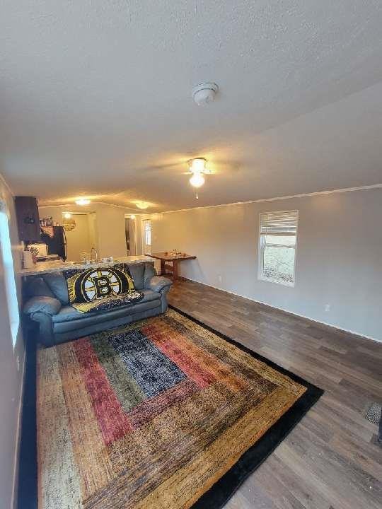 791 Bill Miller Road Spring City, TN 37381 - Photo 5 of 22 Gallery Image 5