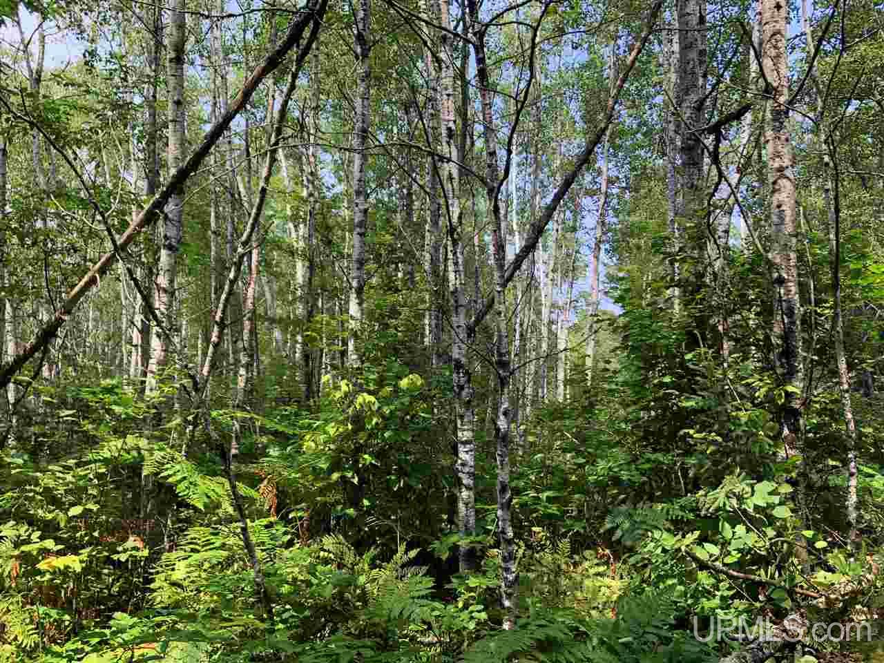 Tbd Perlot Road Felch, MI 49831 - Photo 22 of 45