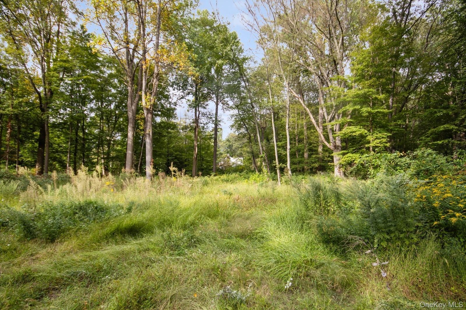 a view of outdoor space and green space