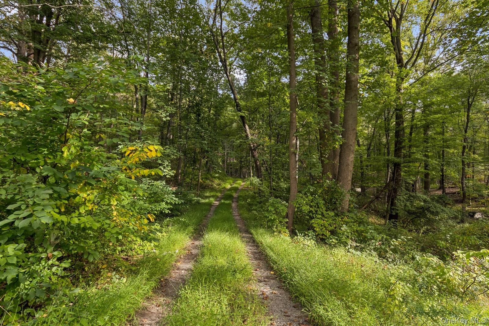 Tbd Rt-9d Garrison, NY 10524 - Photo 11 of 12 View of woods