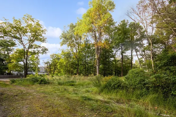 a view of outdoor space and trees