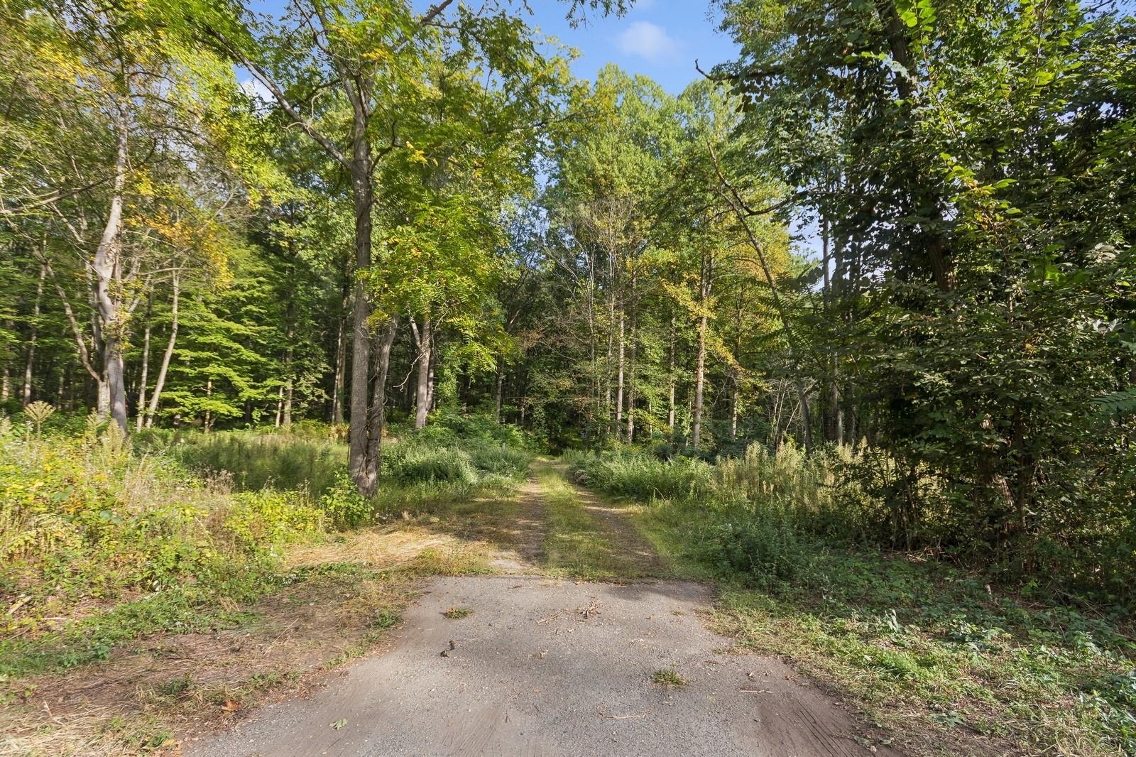Tbd Rt-9d Garrison, NY 10524 - Photo 4 of 12 a view of a yard with plants and large trees